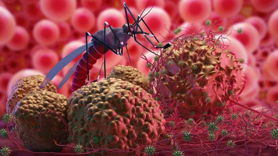 FG eyes zero malaria prevalence by 2025