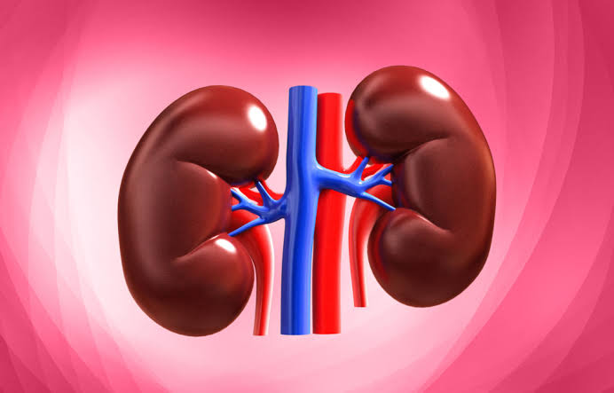Warning signs your kidneys might be failing