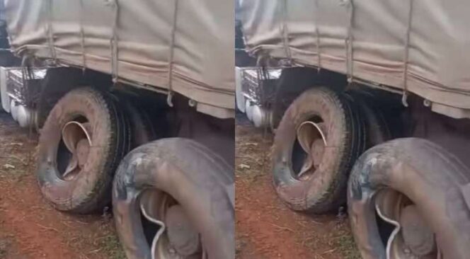Video: Outrage as Dangote Truck Involved in Fatal Crash in Enugu State