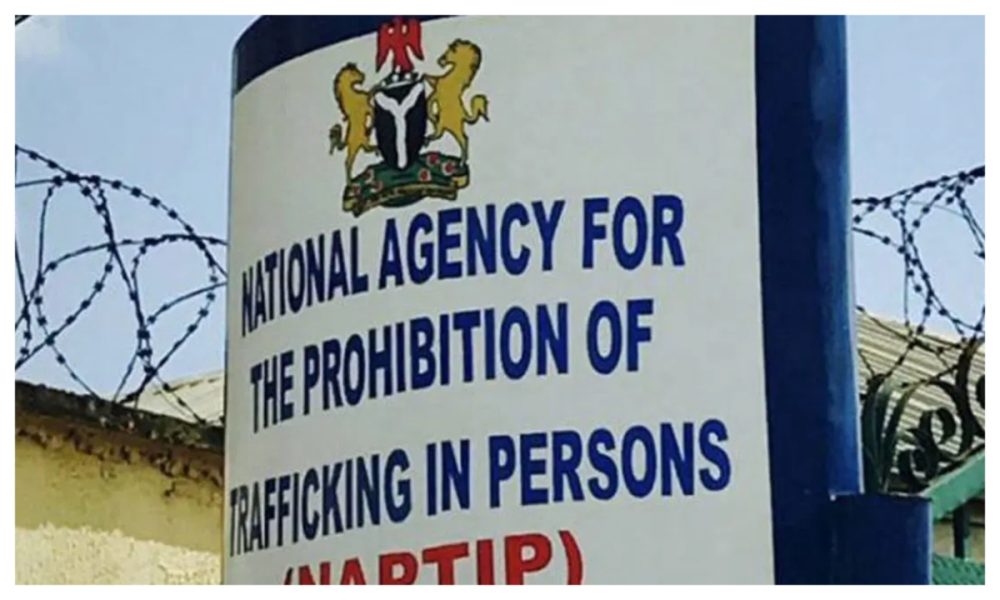 NAPTIP Rescues Stolen Children from Traffickers
