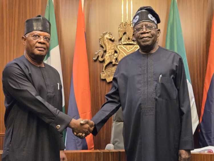 Senate Receives New Ambassadorial List as Tinubu Adds Ibas, Others