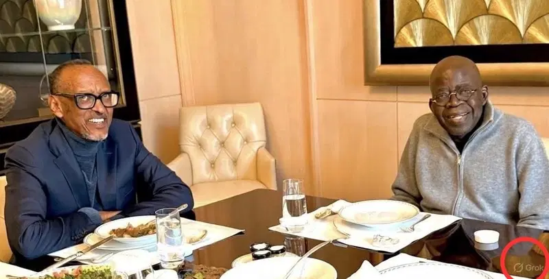 Photos from Tinubu-Kagme Meeting Shared by Presidency Flagged as AI Generated