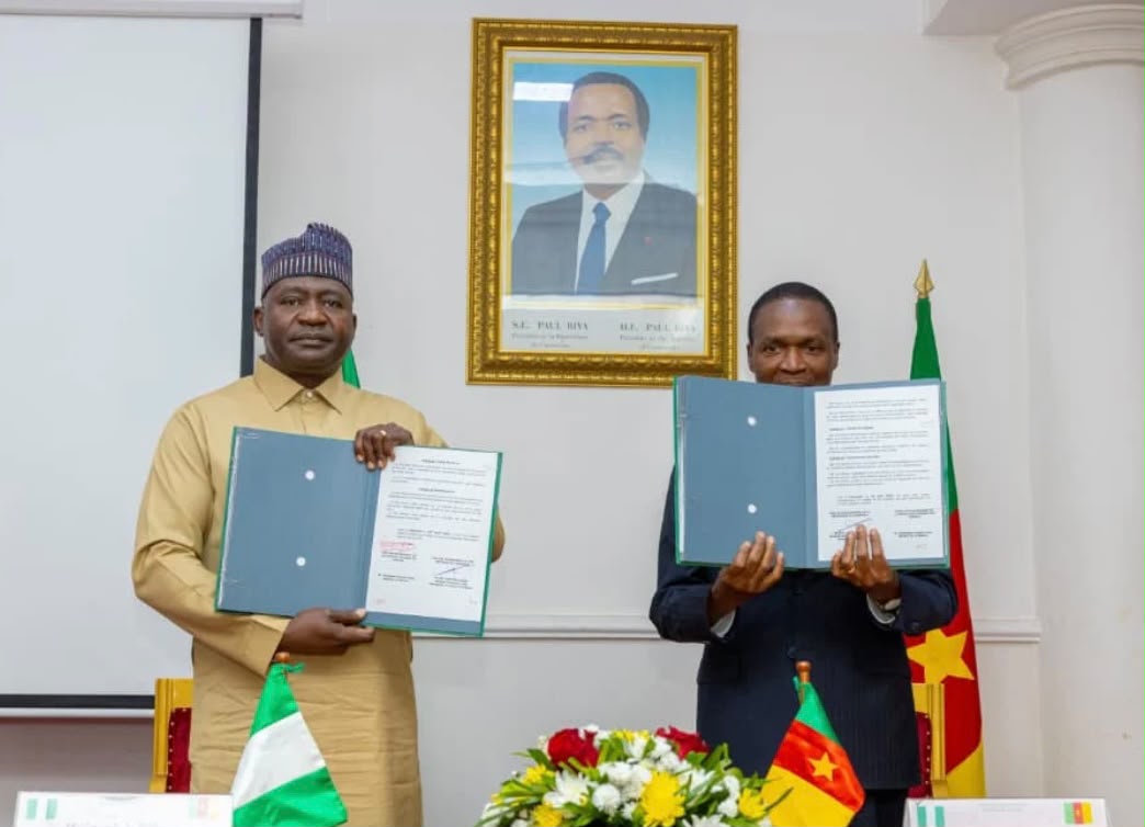 Nigeria, Cameroon Partner on Intelligence Sharing, Joint Military Operations