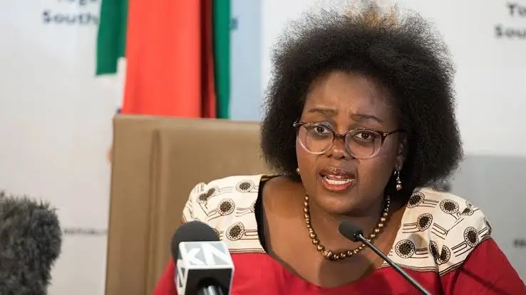 Cancelled Shows, Lost Income: South African Minister Laments Impact of Xenophobic Claims
