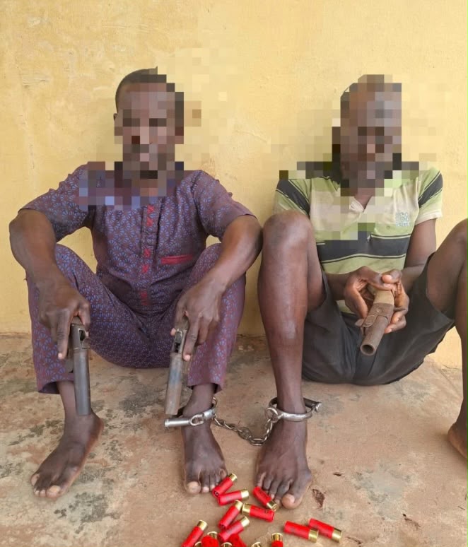 Ogun Police Nab Two Suspected Armed Robbers, Recover Arms