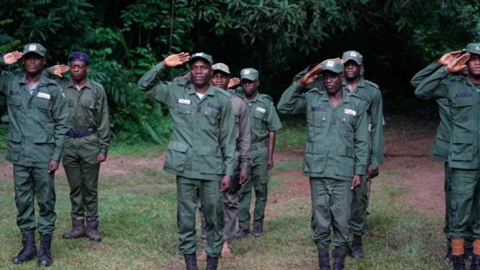 Enugu, Kwara Forest Guards Cry Out Over Hunger, Inadequate Weapons