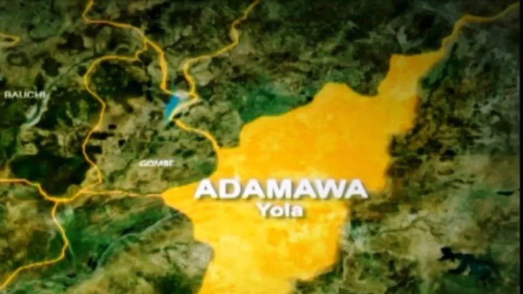 Man Remanded in Custody Over Alleged Ritual Theft in Yola